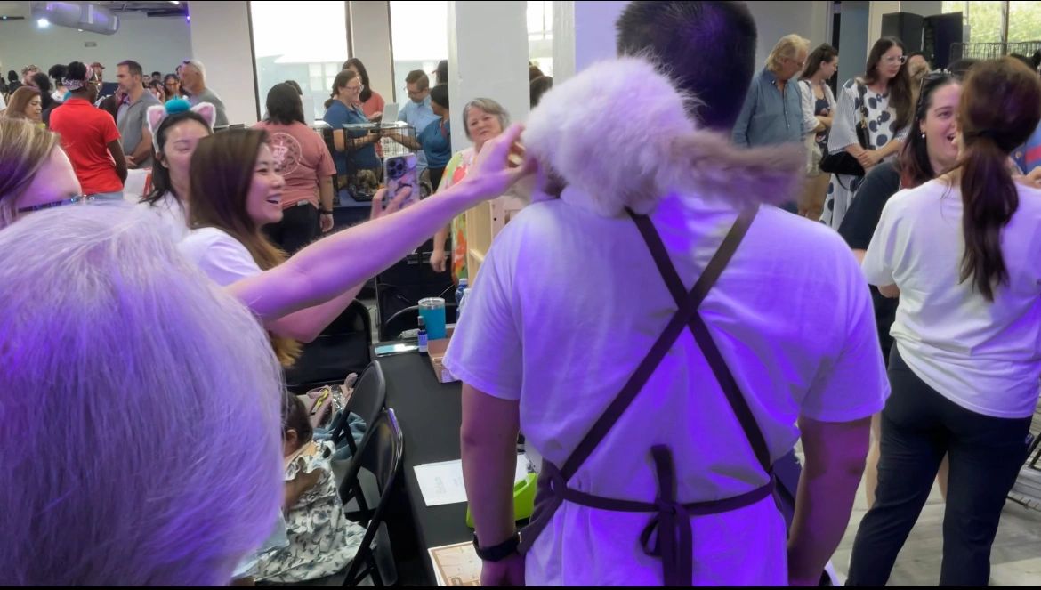 Houston Cat Expo at Inner Me Studios